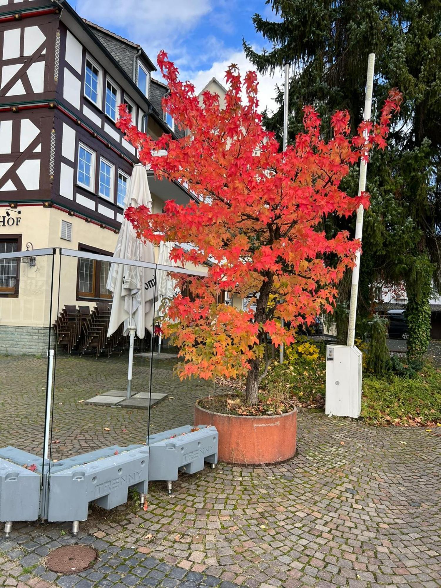 Hotel Wittgensteiner Hof Bad Laasphe Eksteriør billede